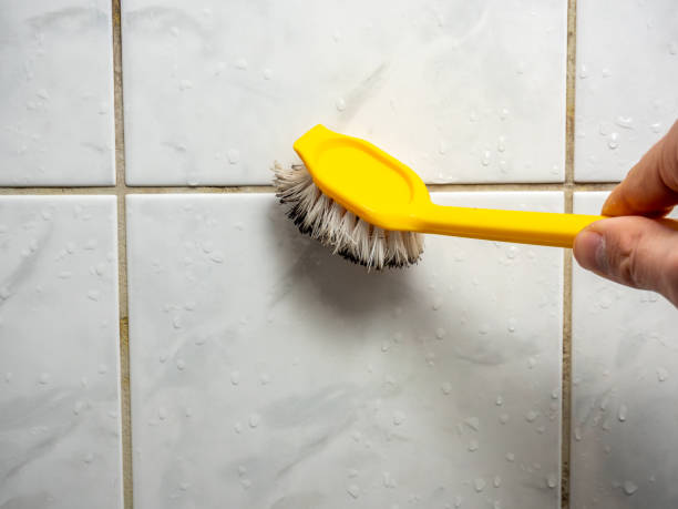 Best Best Mold Removal Companies  in Baldwyn, MS