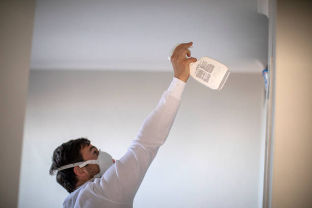 Best Mold Removal Near Me  in Baldwyn, MS