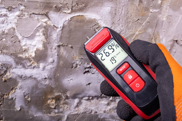 Best Water Damage Restoration  in Baldwyn, MS