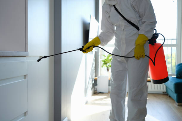 Best Mold Remediation Services  in Baldwyn, MS