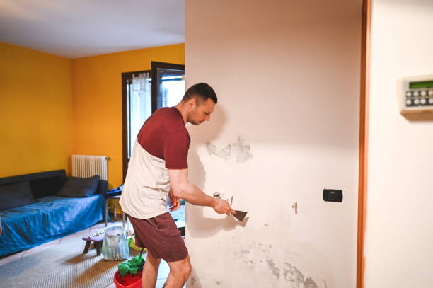 Best Mold Removal Process  in Baldwyn, MS